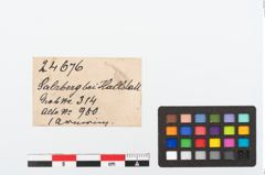 Etikett zu Bronzearmreif (NHMW-PRAE-024676)